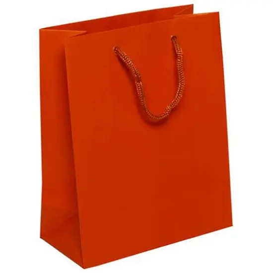 JAM Paper Medium Gift Bags with Rope Handles, 3ct. Orange Matte {1}