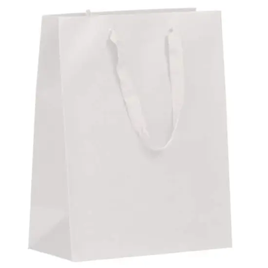 JAM Paper Large White Matte Heavy Duty Kraft Gift Bags, 10ct. {1}