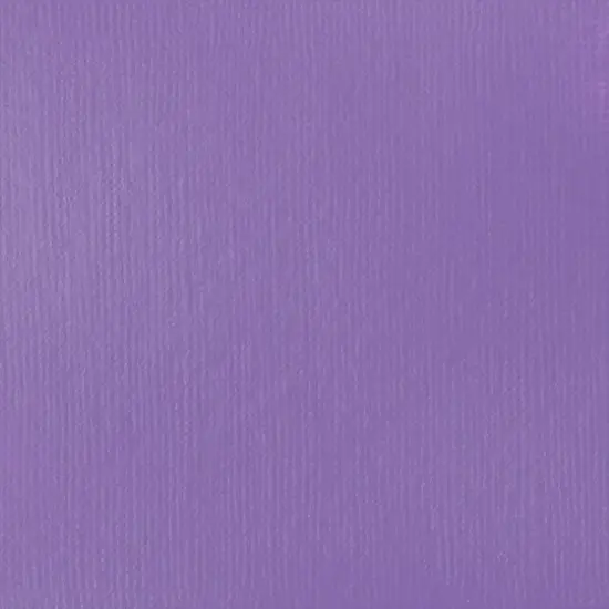 Liquitex&reg; BASICS&trade; 13.5oz. Acrylic Paint 590 Brilliant Purple {5}