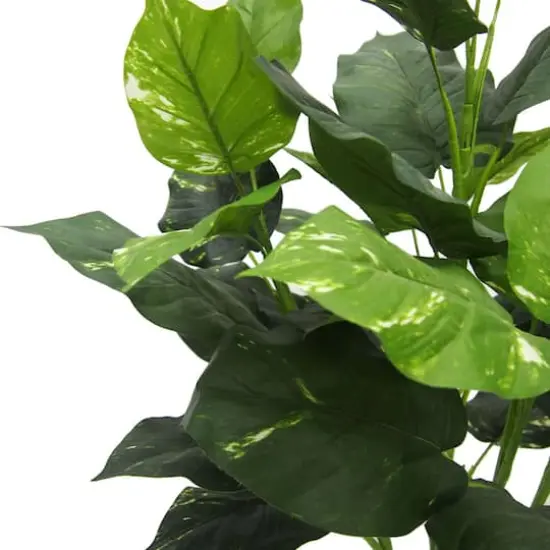 3ft. Green Pothos Plant {3}