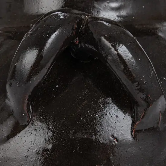 Hello Honey&reg; 12" Black Decorative Clay Jar {5}