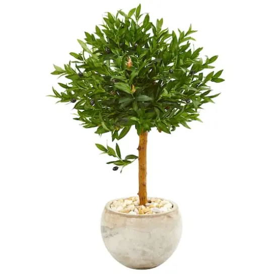 3ft. Olive Topiary Tree in Bowl Planter {1}