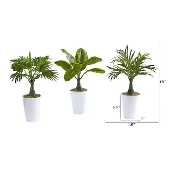 18" Assorted Mini Palm and Banana Plant in White Planter Set {3}