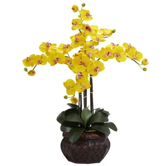 2.5ft. Yellow Moth Orchid Arrangement with Decorative Vase {1}