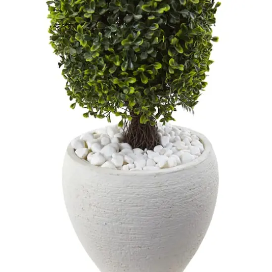 3.5ft. Boxwood Topiary in Textured White Planter {3}