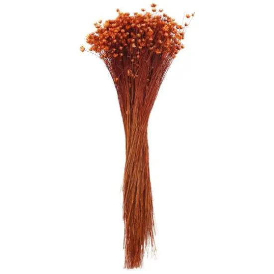 14" Burnt Orange Dried Campo Flower Bunch by Ashland&reg; {1}