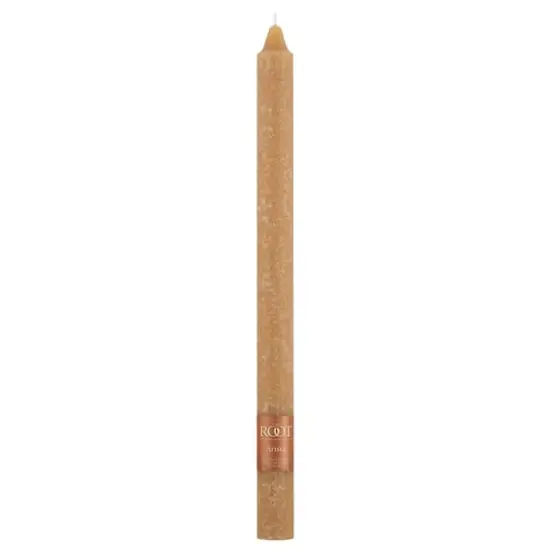 Root Candles 12" Unscented Timberline&trade; Arista&trade; Taper Candles, 12ct. Beeswax {3}