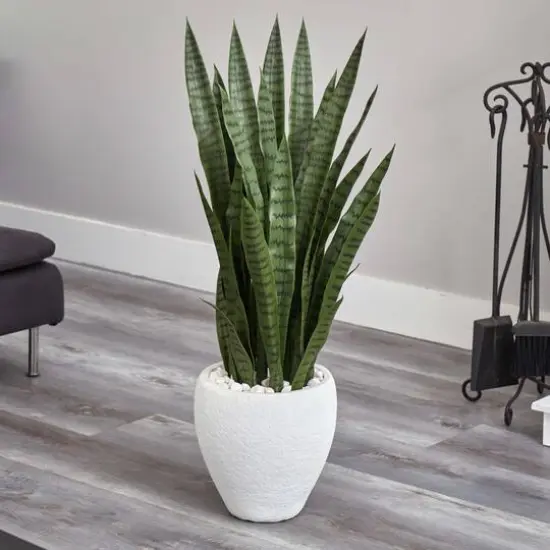 3.5ft. Snake Plant in White Planter {3}