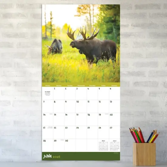 2026 Wild Wall Calendar {4}