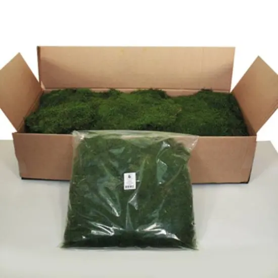 Preserved Green Sheet Moss Bag {1}