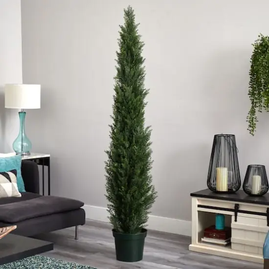 7ft. Potted Mini Cedar Pine Tree {3}