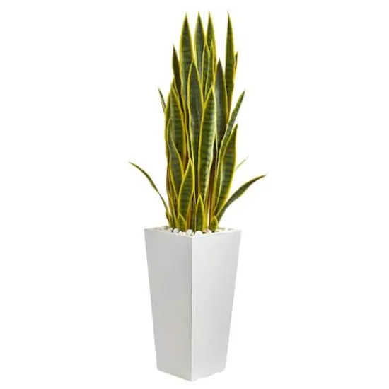 4ft. Snake Plant in White Tower Planter {1}