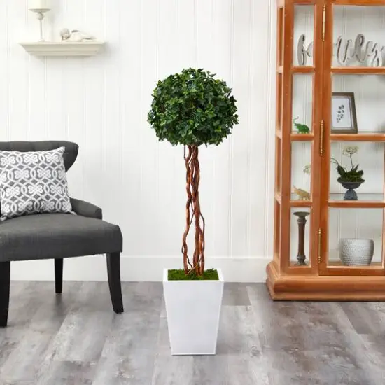 4ft. English Ivy Single Ball Topiary in White Metal Planter {4}