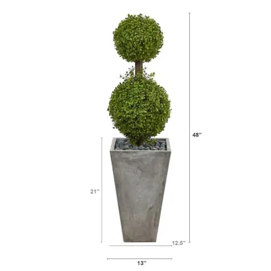 4ft. Double Boxwood Topiary Tree in Cement Planter {3}
