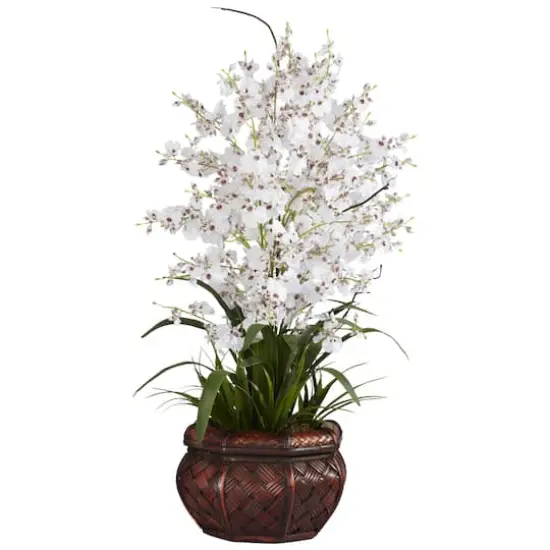 2.5ft. White Dancing Lady Orchid Arrangement with Bamboo Vase {1}