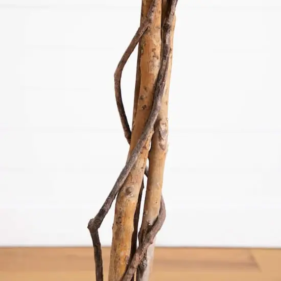 6ft. Artificial Halloween Black Ficus Tree with Natural Trunk {5}