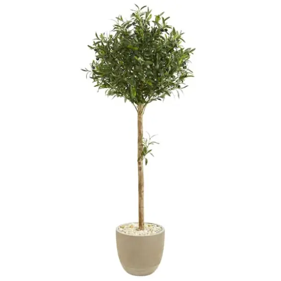 5ft. Olive Topiary Tree in Sand Stone Planter {1}