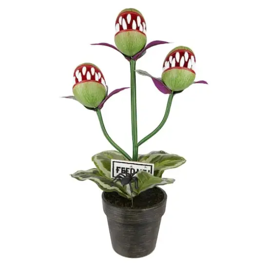 24" Venus Flytrap Trio in Rustic Black Pot by Ashland&reg; {1}