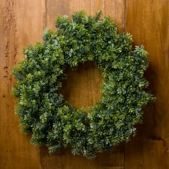 22" Boxwood Wreath by Ashland&reg; {3}