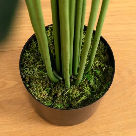 8ft. Potted Artificial Paradise Palm Tree {6}