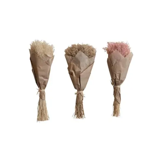 Hello Honey&reg; 19.5" Dried Natural Powderpuff Grass Bunch, 3ct. {1}