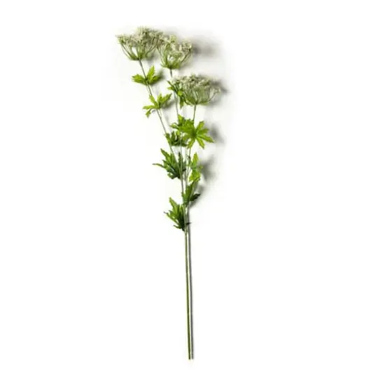 White Queen Anne's Lace Spray by Ashland&reg; {1}
