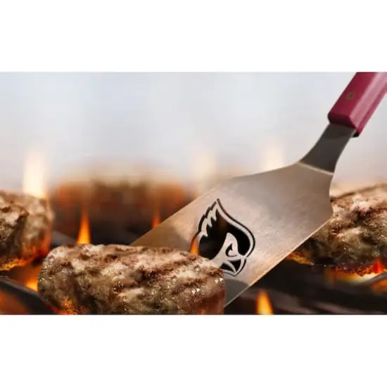 NFL Spirit Series Sportula Arizona Cardinals {5}