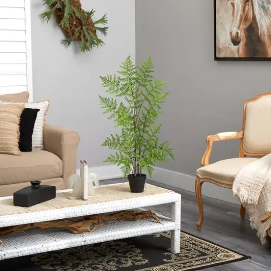 2.5ft. Potted Ruffle Fern Tree {5}