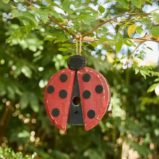 Glitzhome&reg; 11.5" Distressed Wood Ladybug Birdhouse {3}