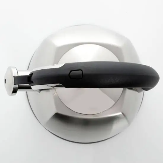 Mr. Coffee Belgrove 2.5qt. Brushed Stainless Steel Whistling Tea Kettle with Nylon Handle {6}