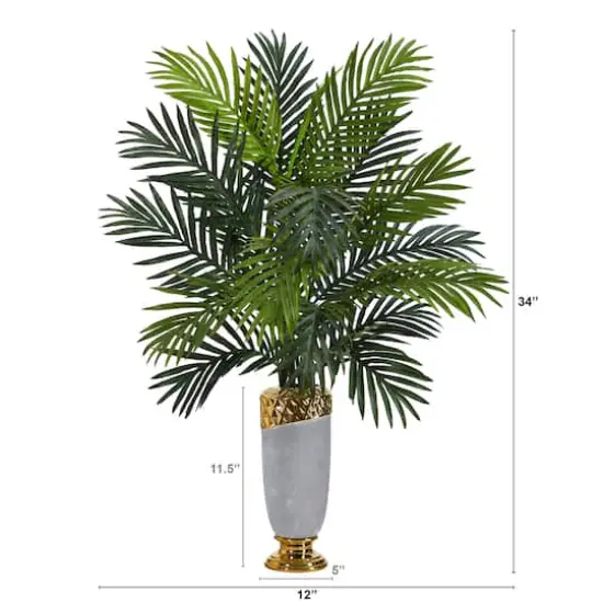 3ft. Areca Palm Plant in Designer Planter {3}