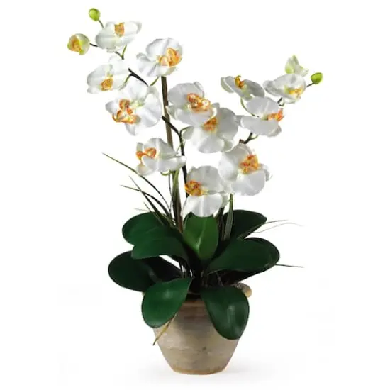 25" Cream Double Phalaenopsis Silk Orchid Flower Arrangement in Ceramic Pot {1}