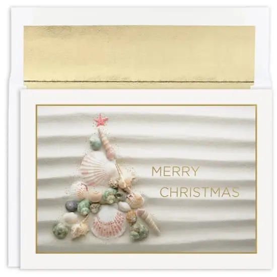 JAM Paper Shell Christmas Cards & Envelopes Set {1}