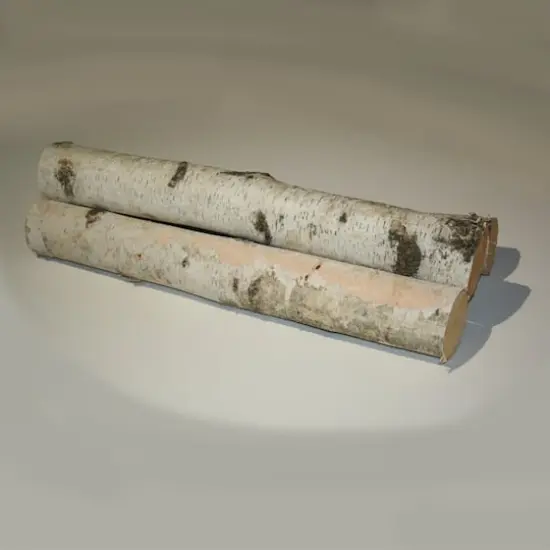 Wilson&reg; Enterprises Large White Birch Logs Set, 3ct. {1}