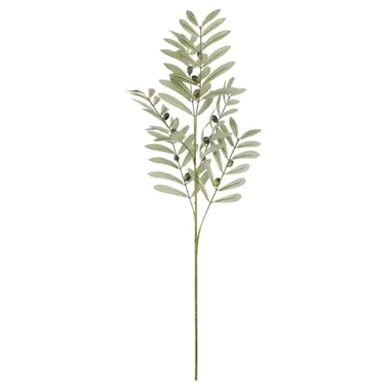 36" Olive Berry Branch by Ashland&reg; {1}