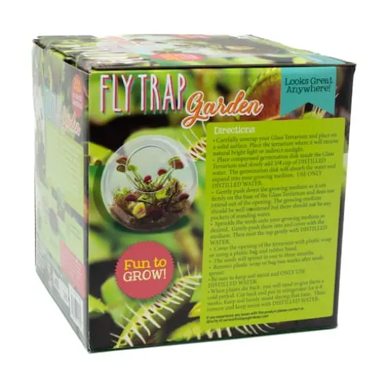 Glass Terrarium - Fly Trap Garden {6}