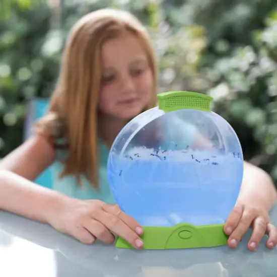 Educational Insights&reg; Geosafari&reg; Day 'N' Night Ant Factory {5}