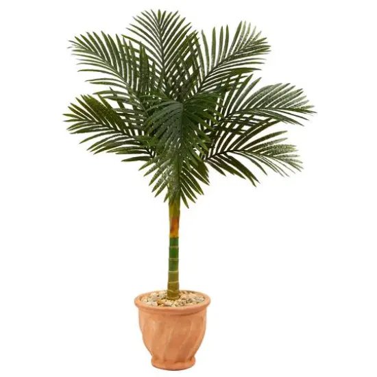 4.5ft. Golden Cane Palm Tree in Terra-Cotta Planter {1}