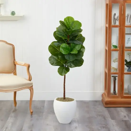 4.5ft. Fiddle Leaf Fig Tree in White Planter {4}