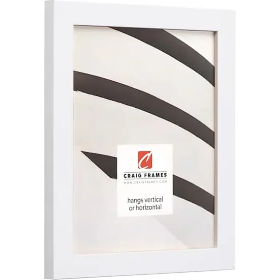 Craig Frames Essentials Satin White Picture Frame {4}