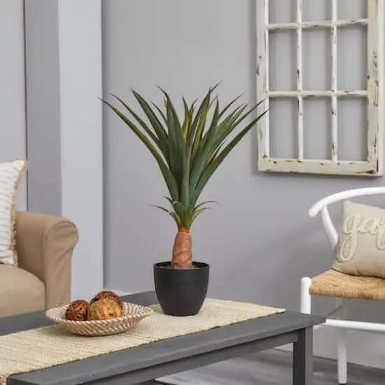 2.5ft. Agave in Black Planter {4}