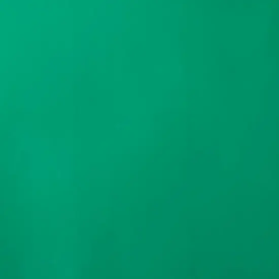 Siser EasyWeed Heat Transfer Vinyl Casual Sampler 12in {5}