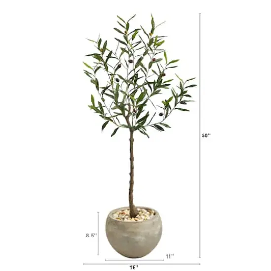 4ft. Olive Tree in Sand Colored Planter {3}