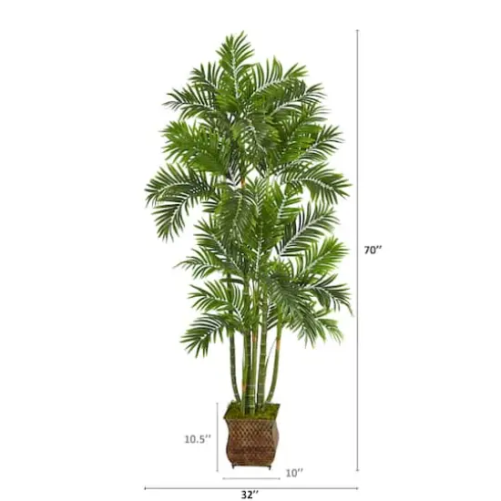 5.5ft. Areca Palm Tree in Metal Planter {3}
