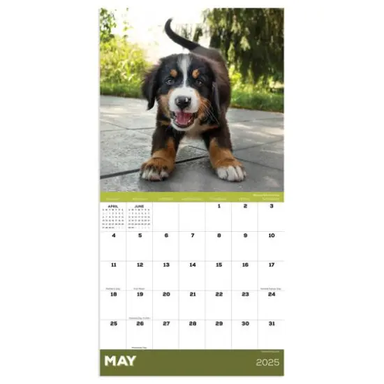 TF Publishing 2025 Puppies Mini Calendar {5}
