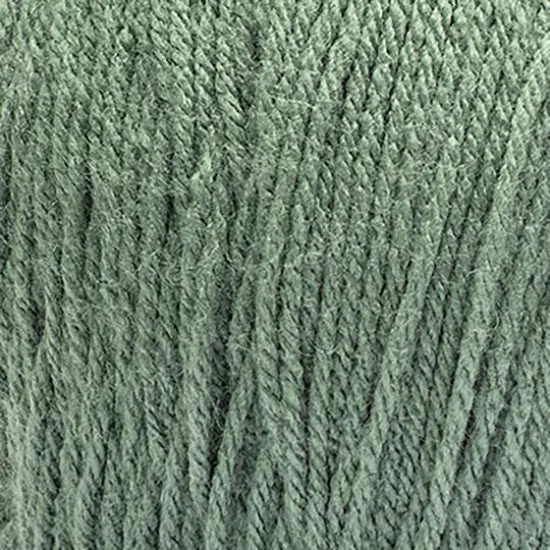 Red Heart&reg; Super Saver&reg; Solid Jumbo Yarn, 14oz. Light Sage {3}