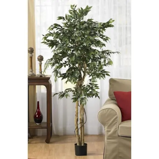 5ft. Potted Smilax Tree {3}