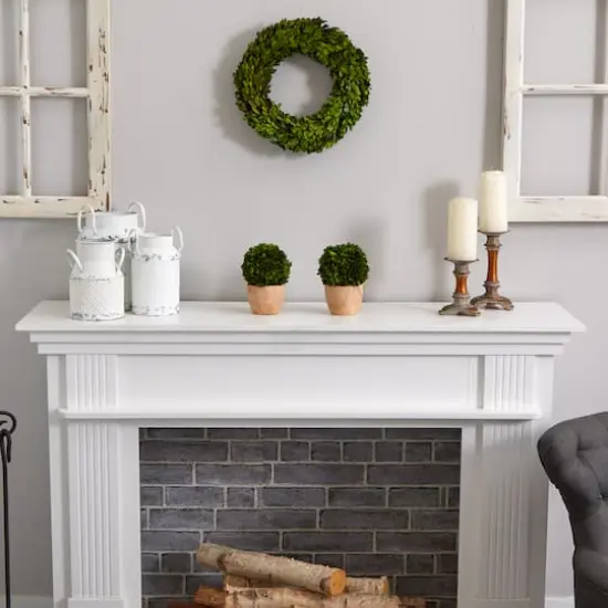 14'' Green Preserved Boxwood Wreath {5}