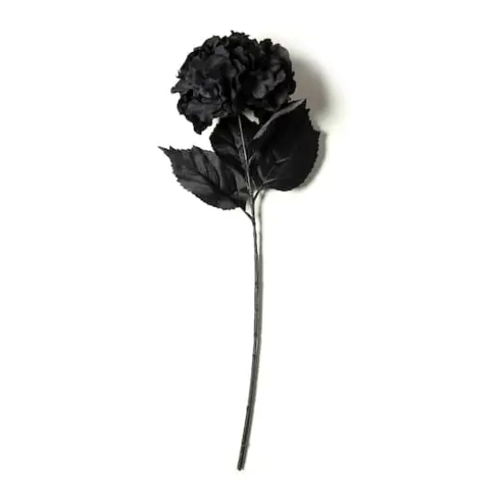 Black Hydrangea Stem by Ashland&reg; {1}