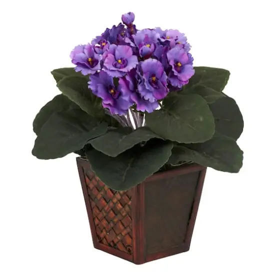 10" African Violet In Planter Set {4}